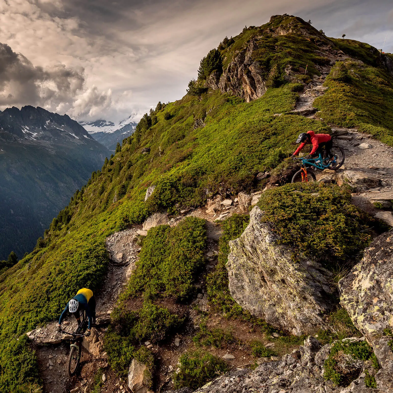 Mountain bikers navigate a rugged mountain trail, showcasing Mountain Bike Ambassador Management and Event Planning in scenic terrain. LOAM.