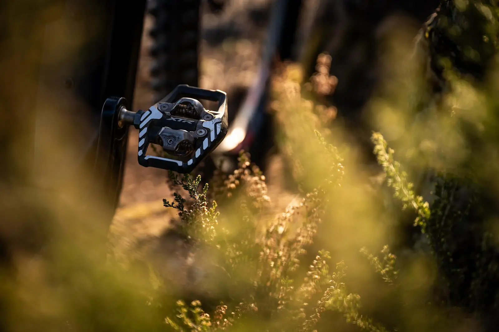 Mountain bike pedal surrounded by foliage, ideal for Mountain Bike Press Camp, Mountain Bike Marketing Agency, and Mountain Bike Content Creation. LOAM.