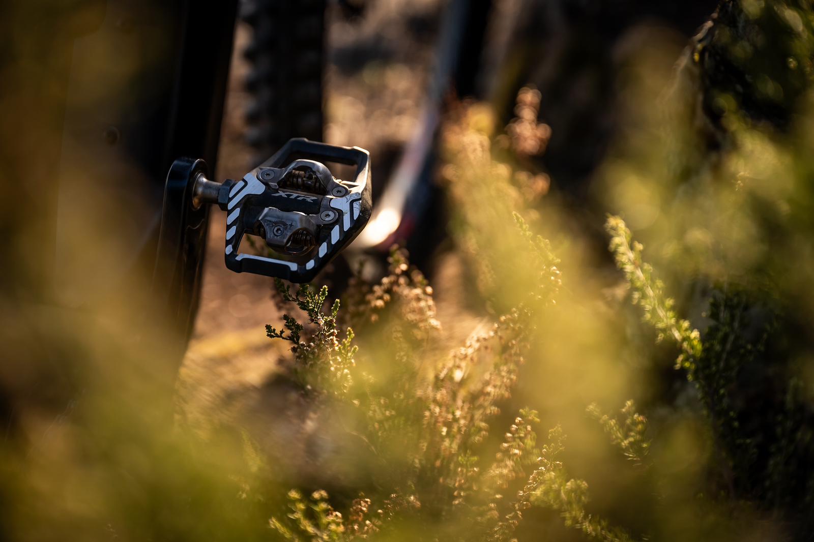 Mountain bike pedal surrounded by foliage, ideal for Mountain Bike Press Camp, Mountain Bike Marketing Agency, and Mountain Bike Content Creation. LOAM.